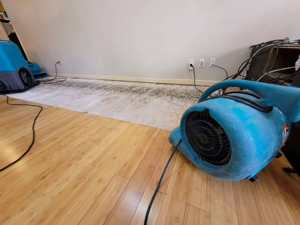 Professional Water Removal technician working in Millington, IL